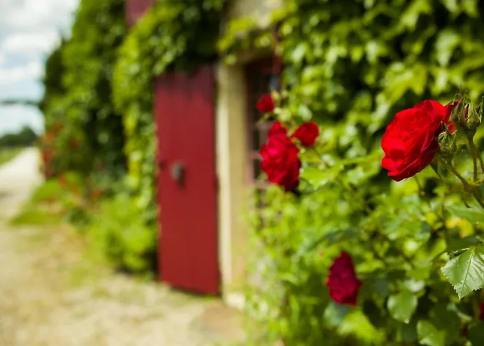 Feriehus Echappee Bel *